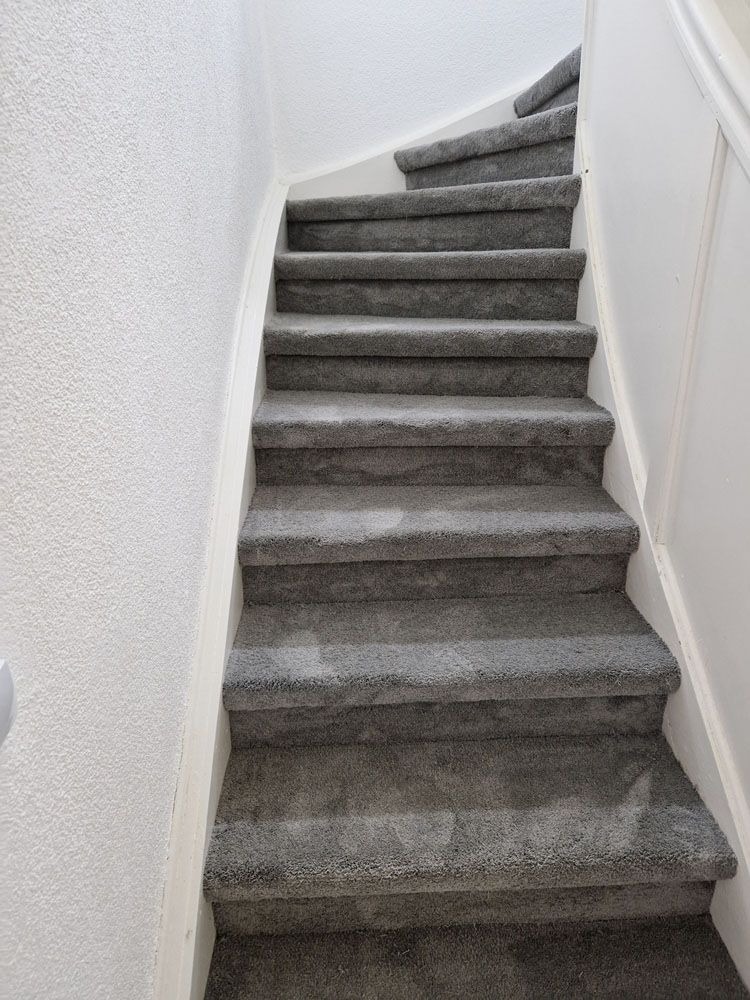 Eine graue Teppichtreppe mit weißen Wänden und geschwungenem Aufgang